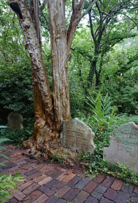 18951333_10154810557587807_2880724834573590652_n