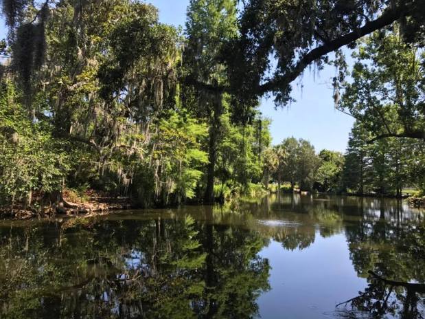 18952701_10154810558572807_835586587250857659_n