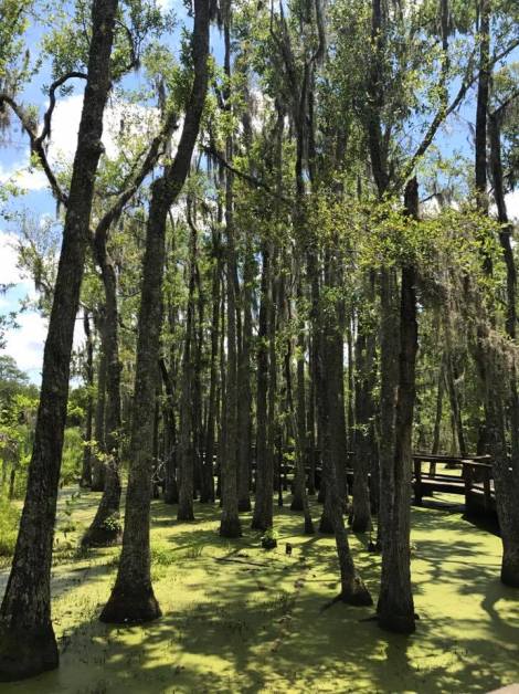 19029409_10154810558632807_6689266991486464915_n