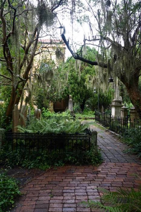 19030263_10154810557562807_7431561246813069932_n