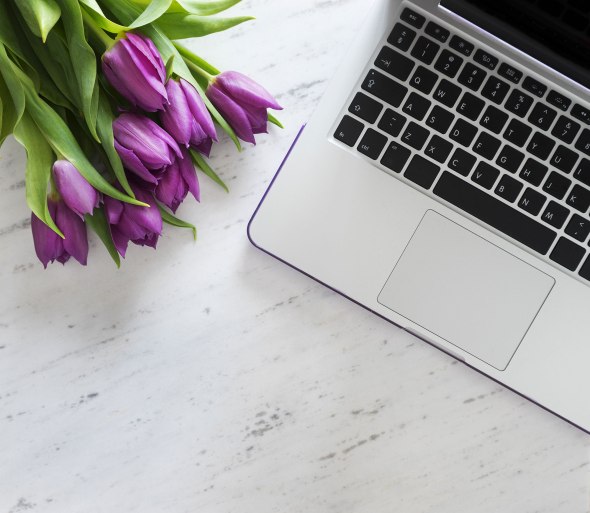 5-5-16-purple-stock-large