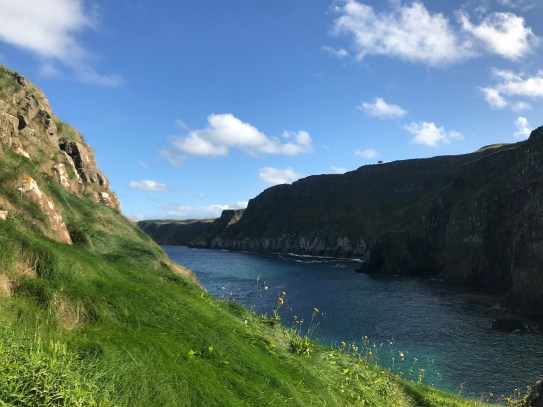 zed+MZViQzCVGenm8+azug